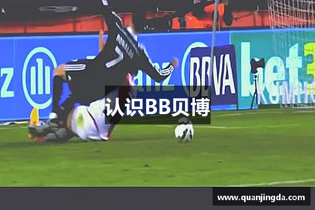 认识BB贝博
